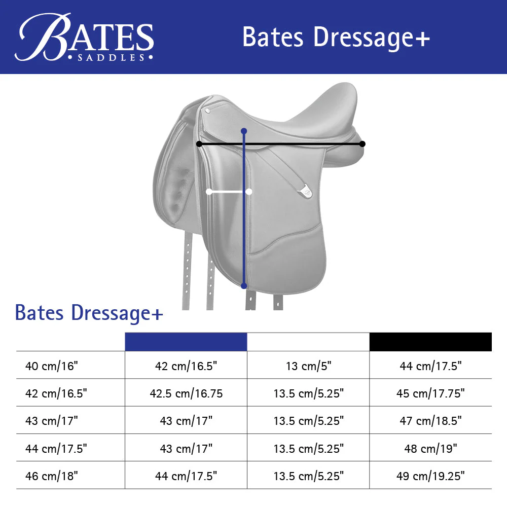 Bates Dressage - Image 7