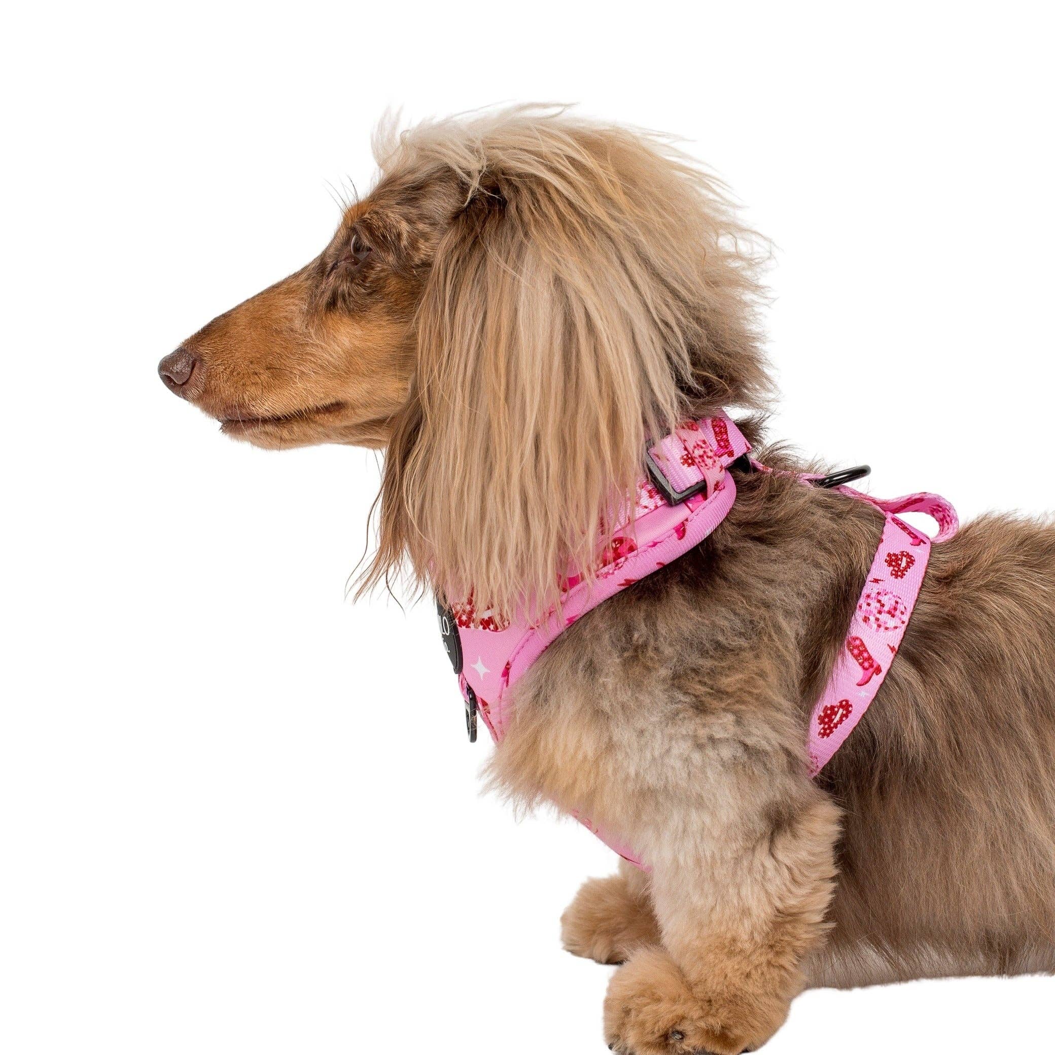 Disco Cowgirl: Adjustable Dog Harness - Image 7