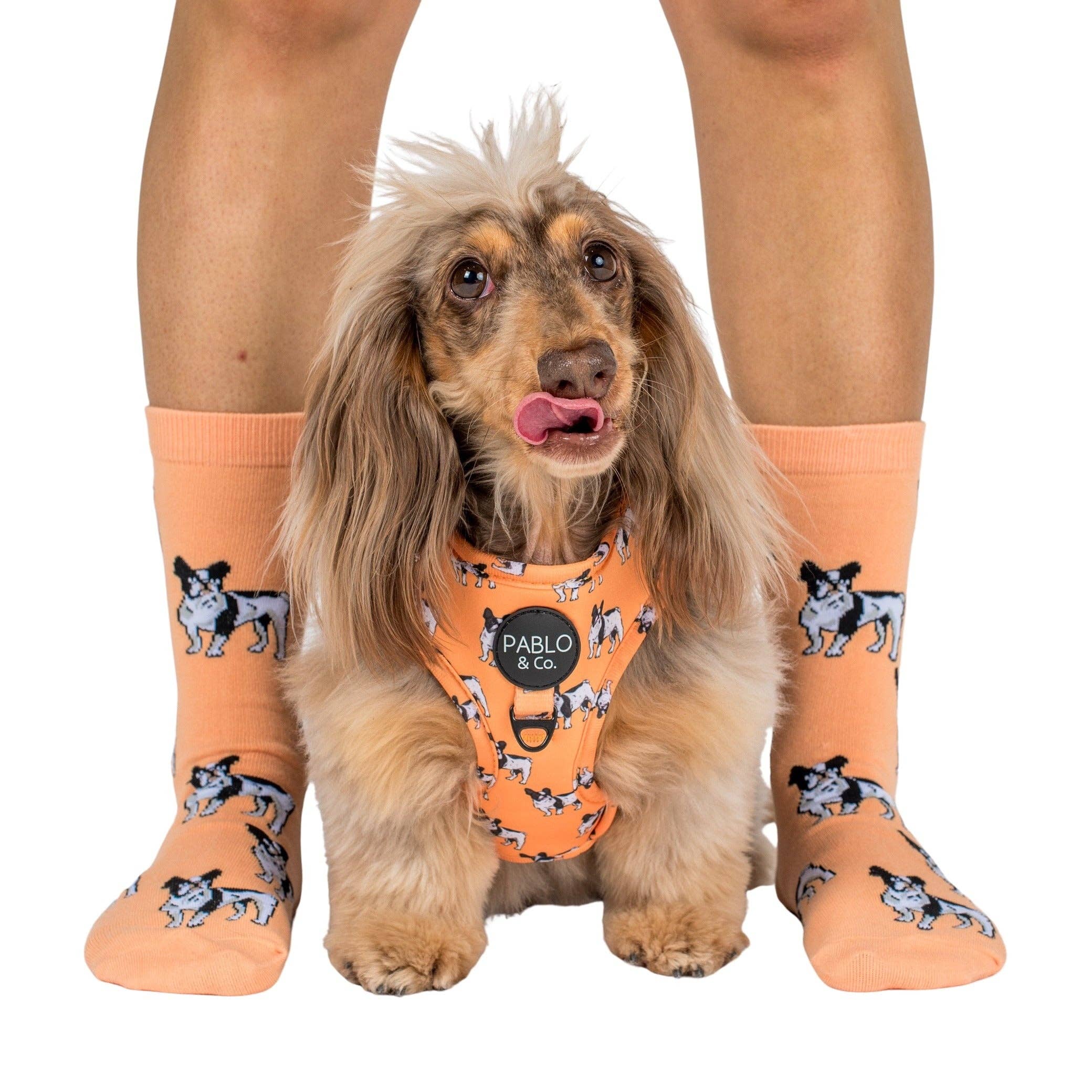 Dog Breed Socks - Image 16