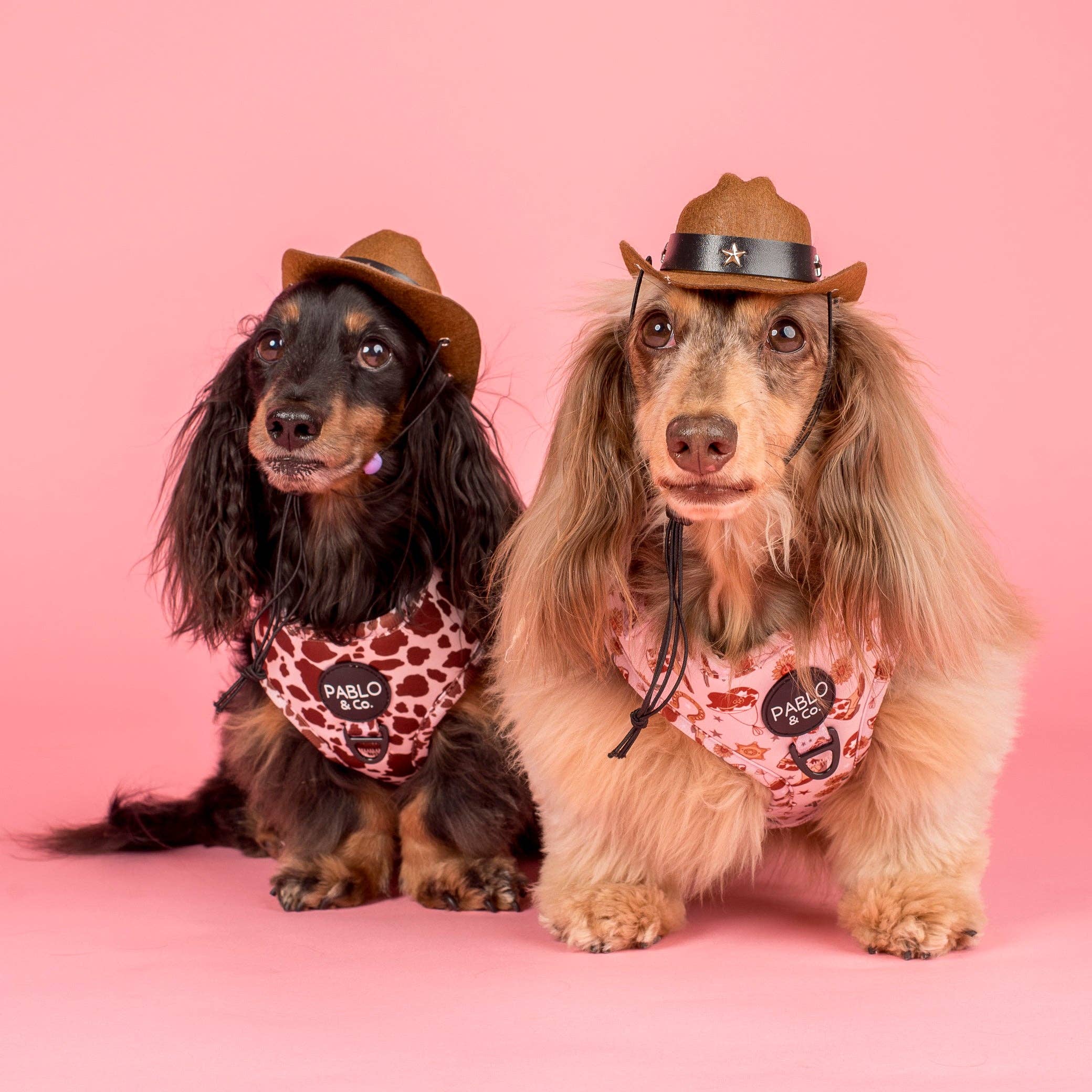 Howdy: Adjustable Harness - Image 5