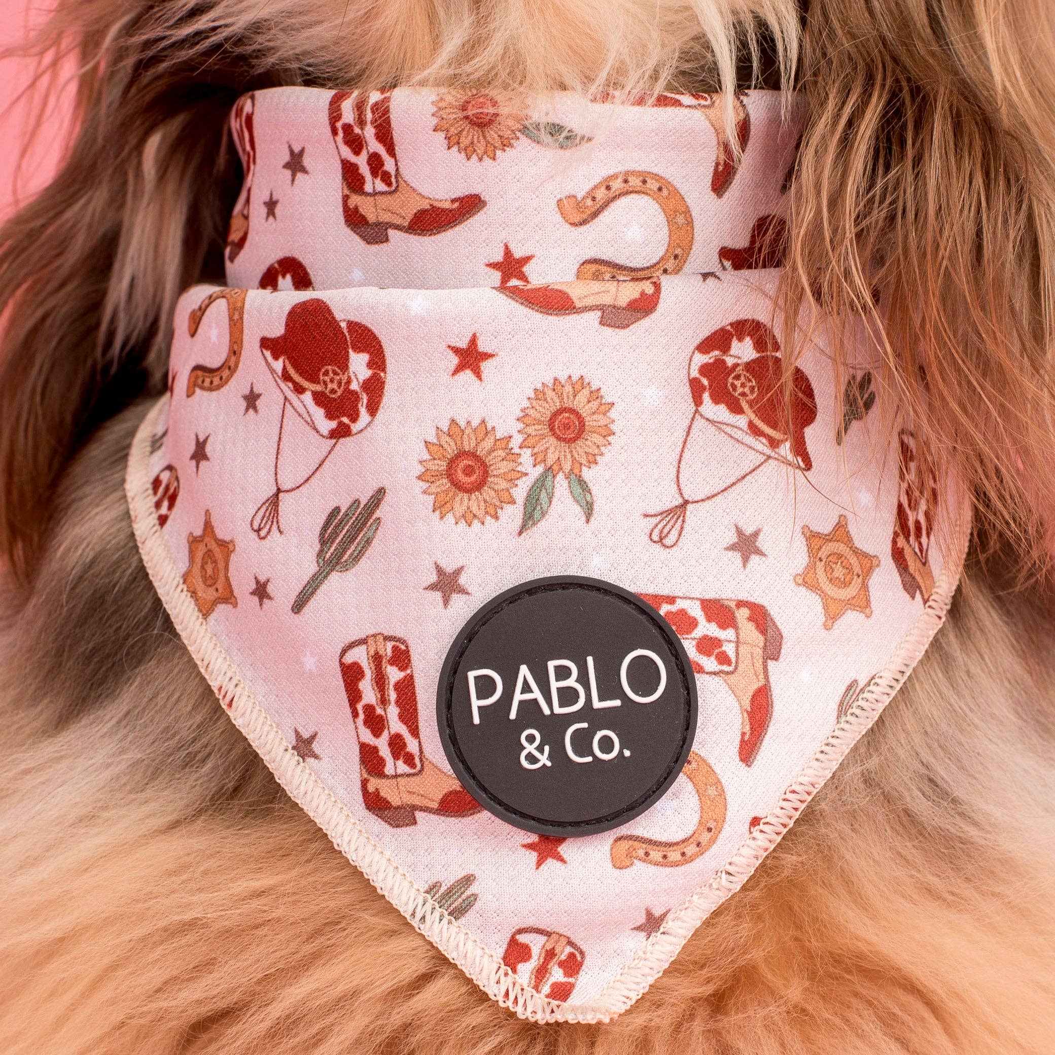 Howdy: Dog Bandana - Image 3