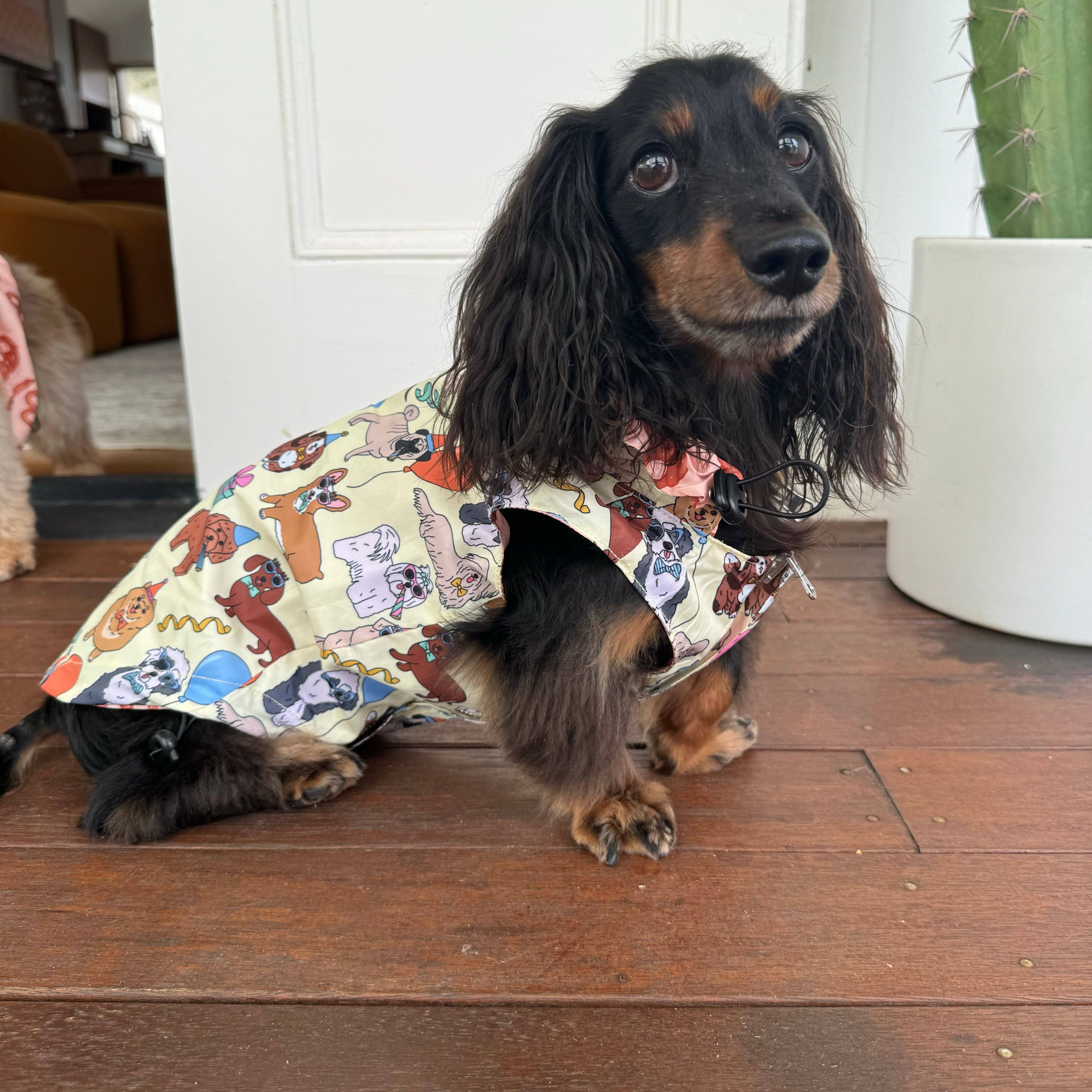 Party Dawgs / Pretzels: Reversible Dog Raincoat - Image 6