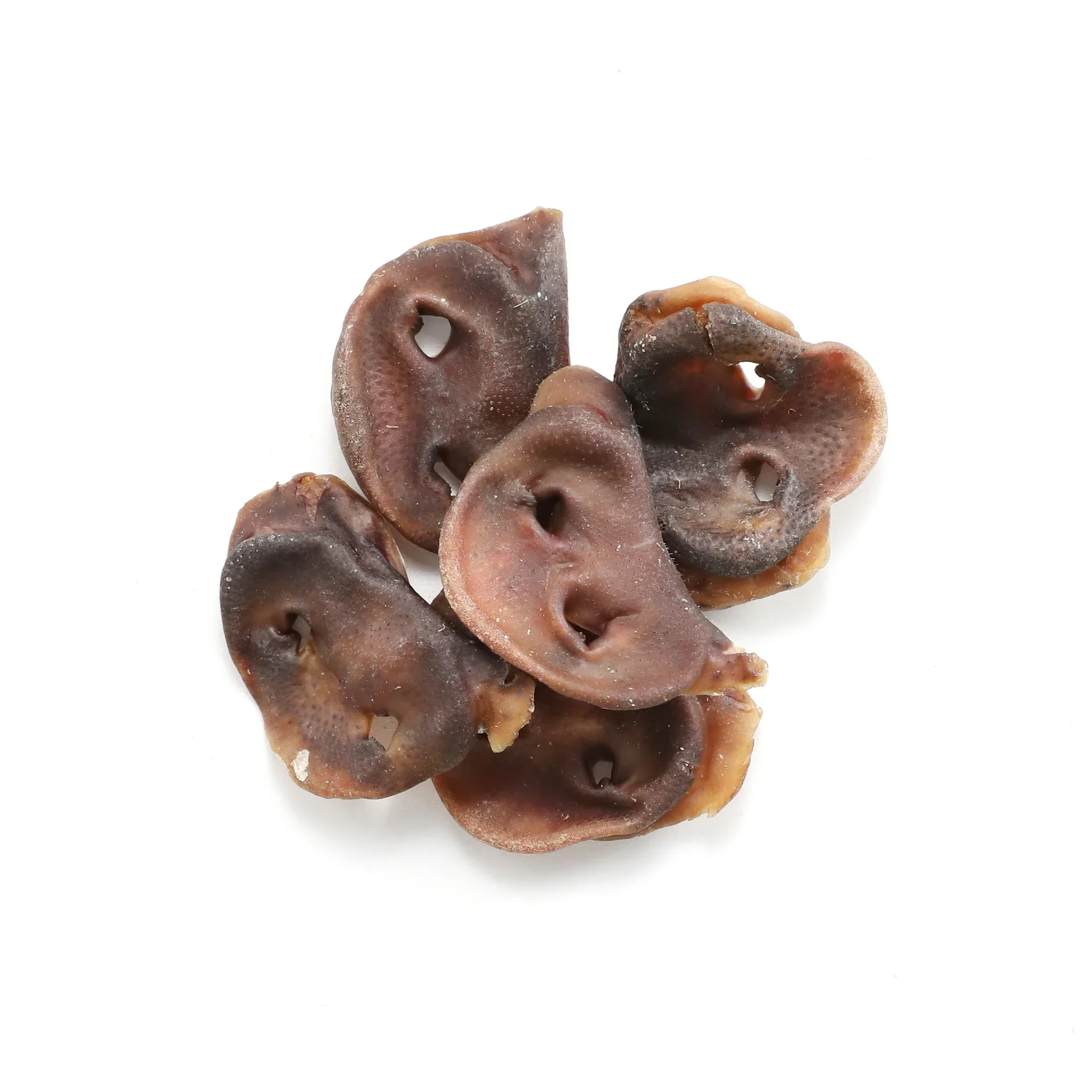 Pork Snouts 10 Pack - Image 2