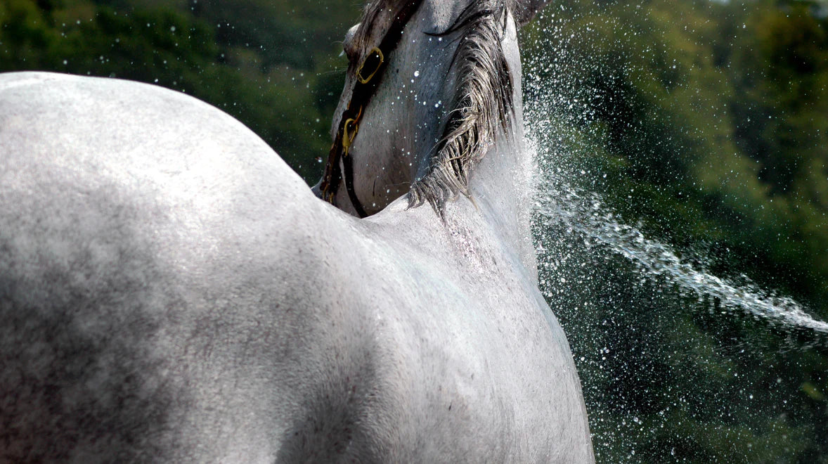 Equidae Relax & Revitalise Magnesium Oil For Horses (Magnesium Oil) 500ml - Image 3