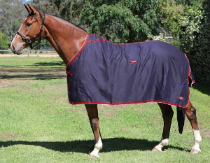 Show Circuit Rug