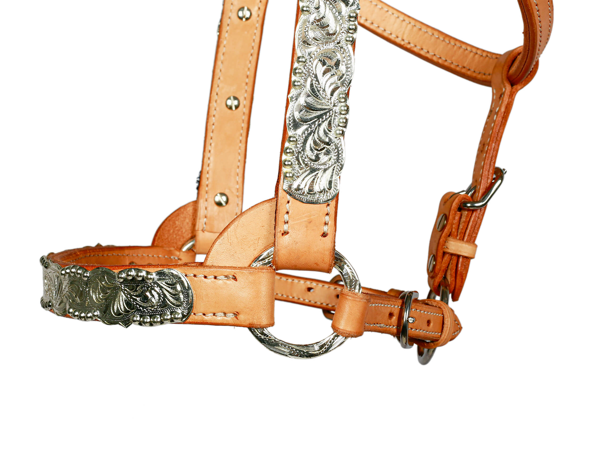 Syd Hill Buller Show Halter - Image 4