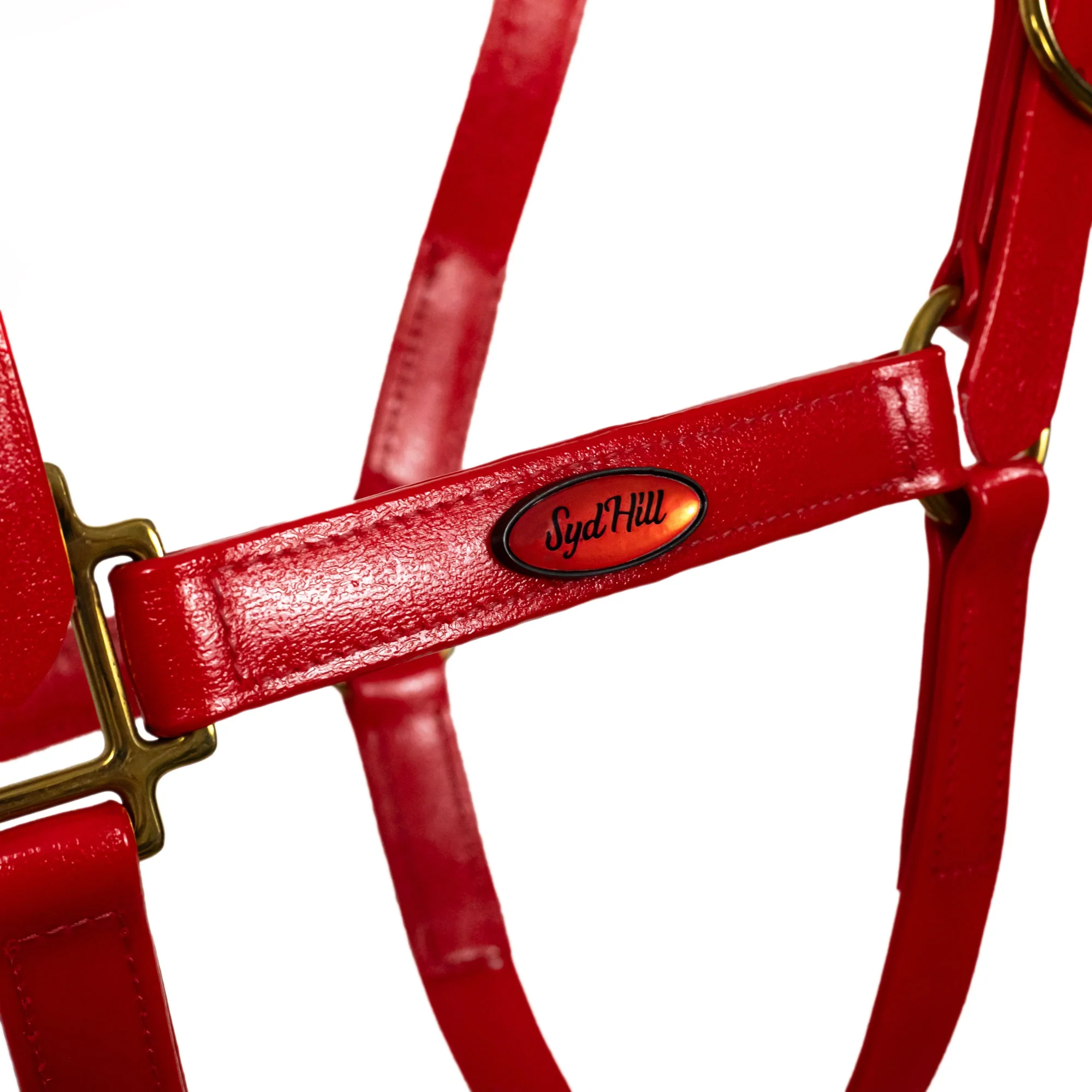 Syd Hill PVC Halter - Image 11