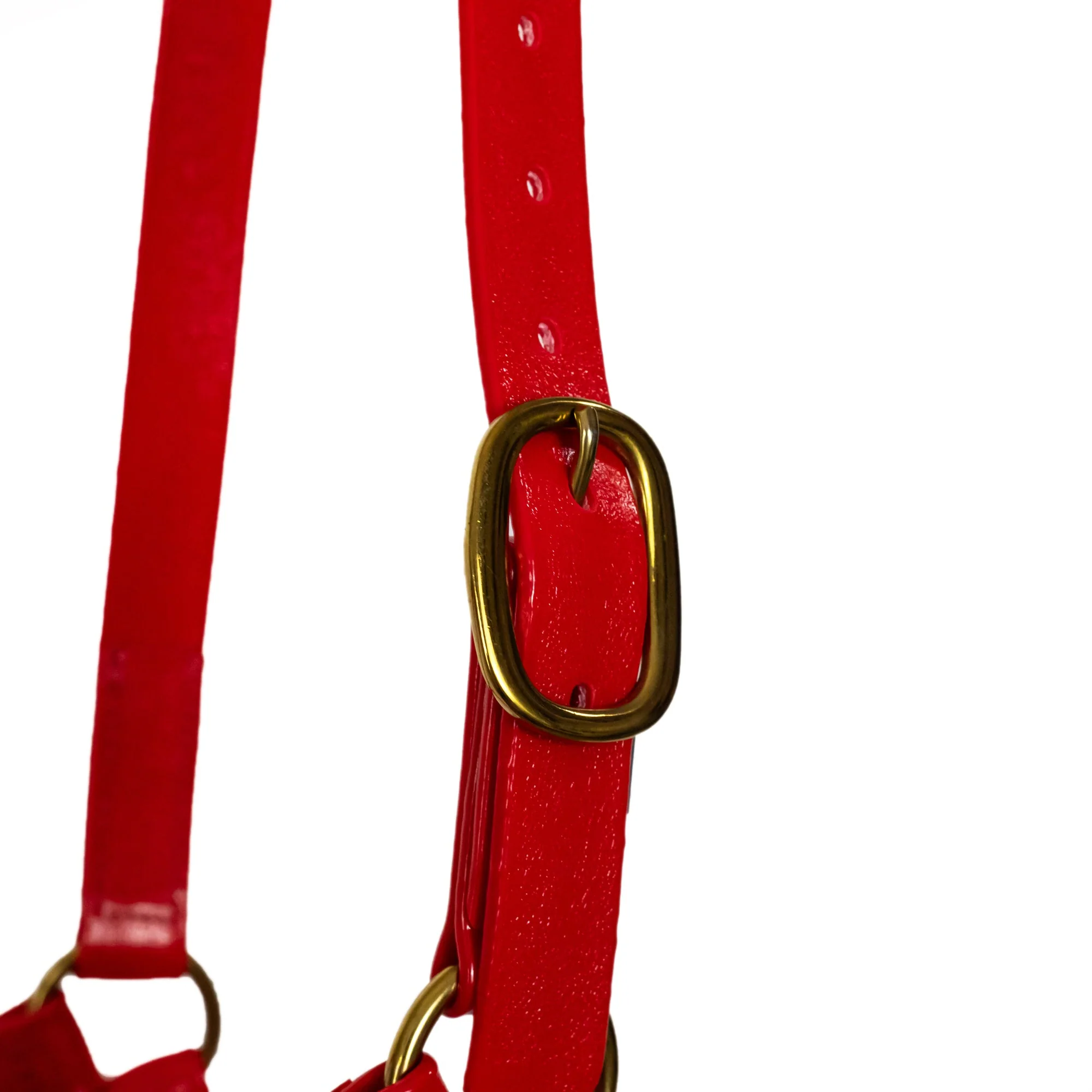 Syd Hill PVC Halter - Image 15