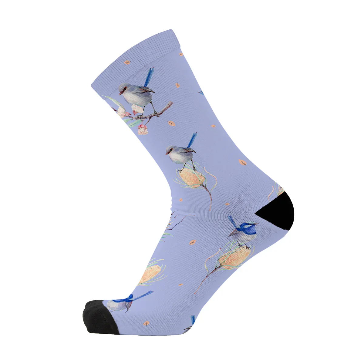 Wren of a Kind Sox